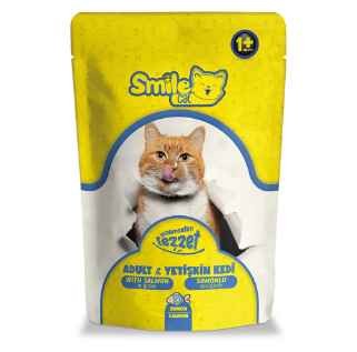 SMILE CAT COMPLETE WET CAT FOOD FOR ADULTS CATS WITH SALMON IN GRAVY 100 GR