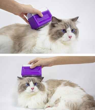 HOT Sale other pet products pet grooming sticker brush 2 in 1 comb removes pet dog cat brush