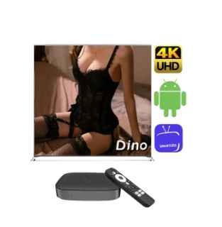 Stable Leadcool Android TV Box 12 Months Smart TV Box 4K Free Trial Settop Box