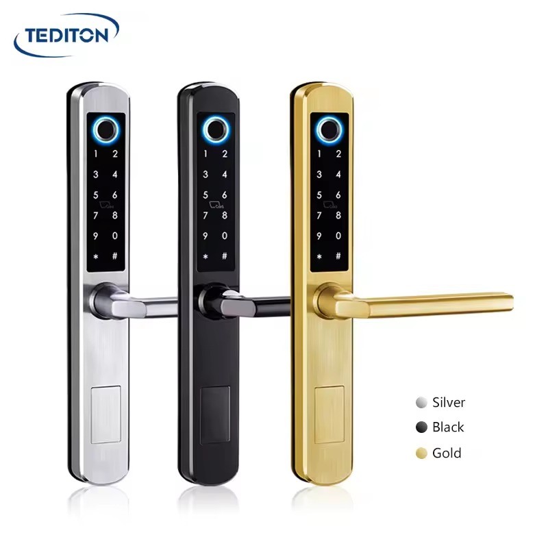 Tediton Sales Wholesale Price Serrure Intelligent Electric Digital Biometric Fingerprint Smart Door Locks For Home
