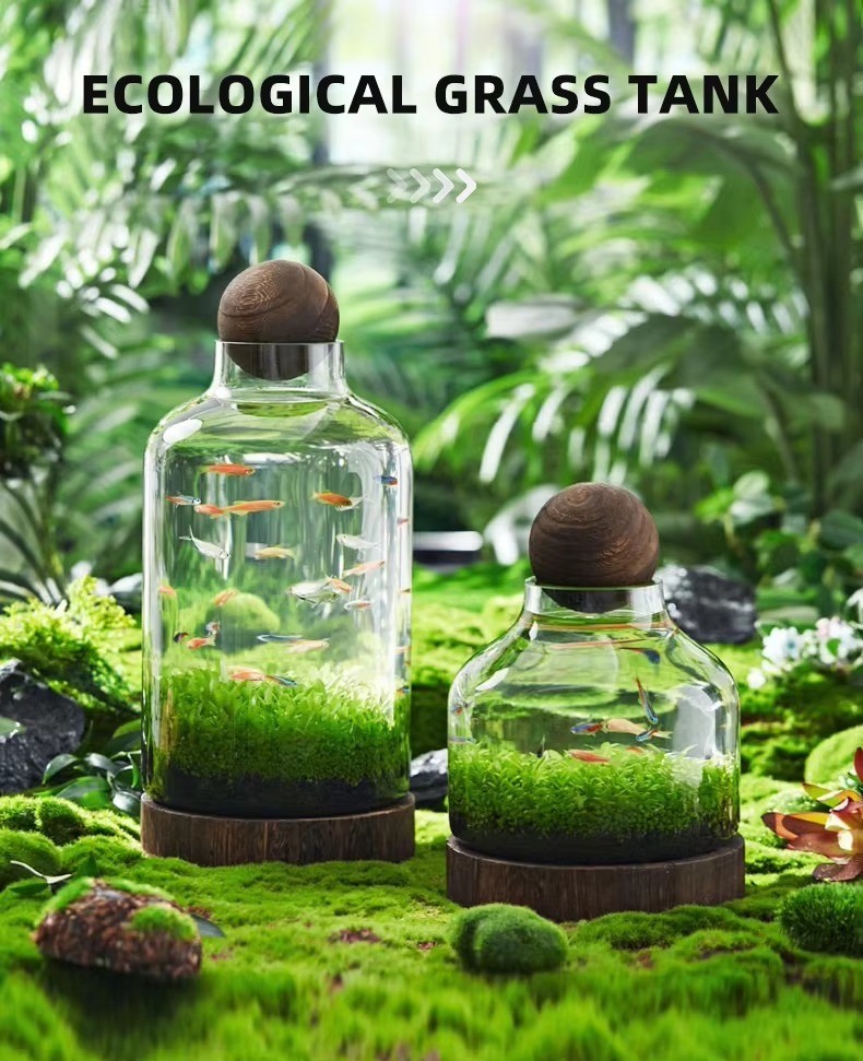 Aquarium accessories manufacturer art design small desktop fish aquarium tank glass fish tank