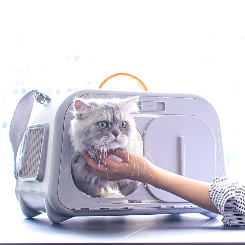 upgraded capsule large space cat carrier bag thermometer and hygrometer Eco-friendly plastic pet carrier