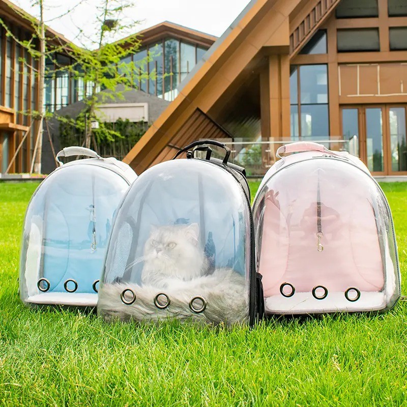 Leyou pet supplies manufacturer hot selling bubble shell pet carrier backpack cat carrier backpack bag